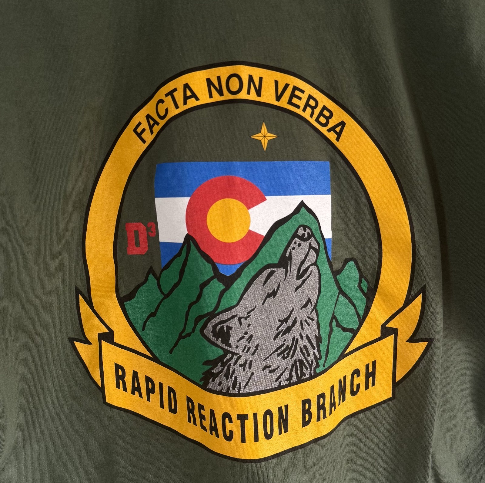 USSF US Space Force Space Delta 3 heavyweight tee Olive L rare military curate gallery