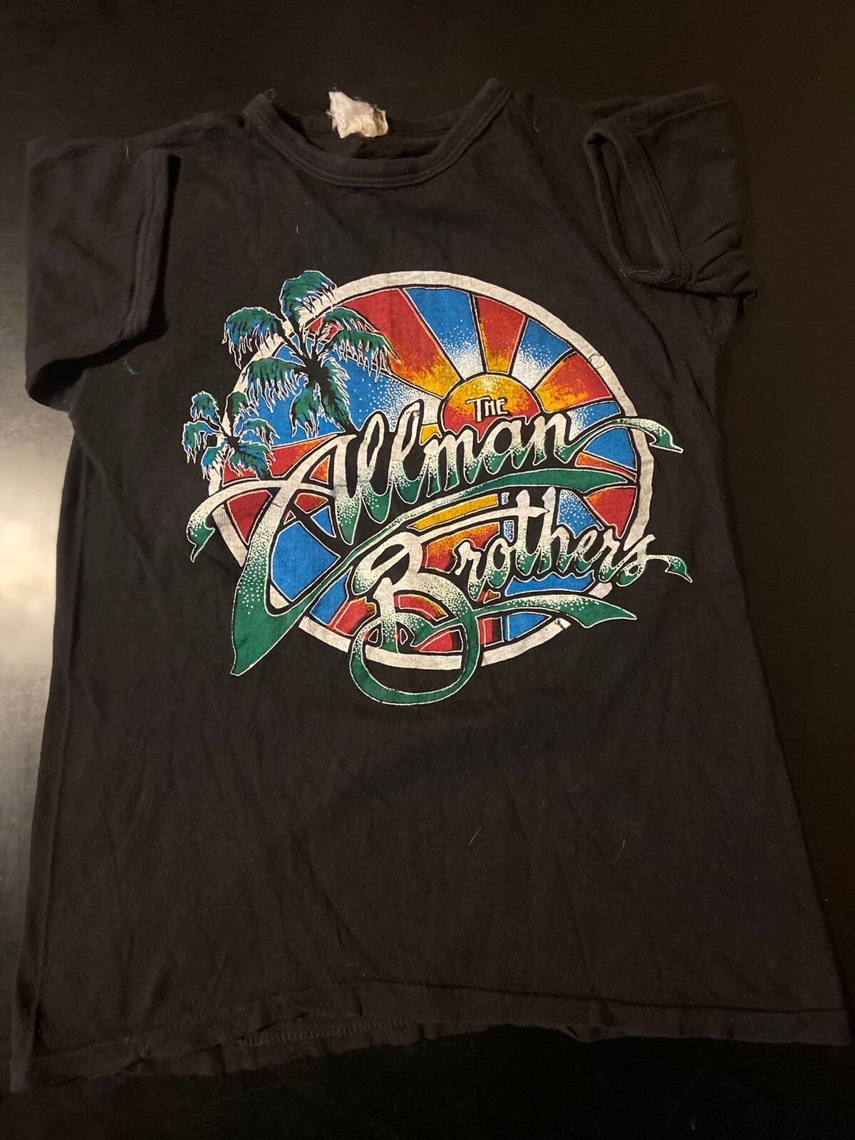 The Allman Brothers Band black Unisex Shirt All Size R601