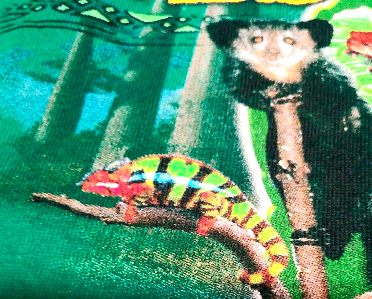 Madagascar Rainforest Forever Wild Forever Free Green T-Shirt Men's Large gallery