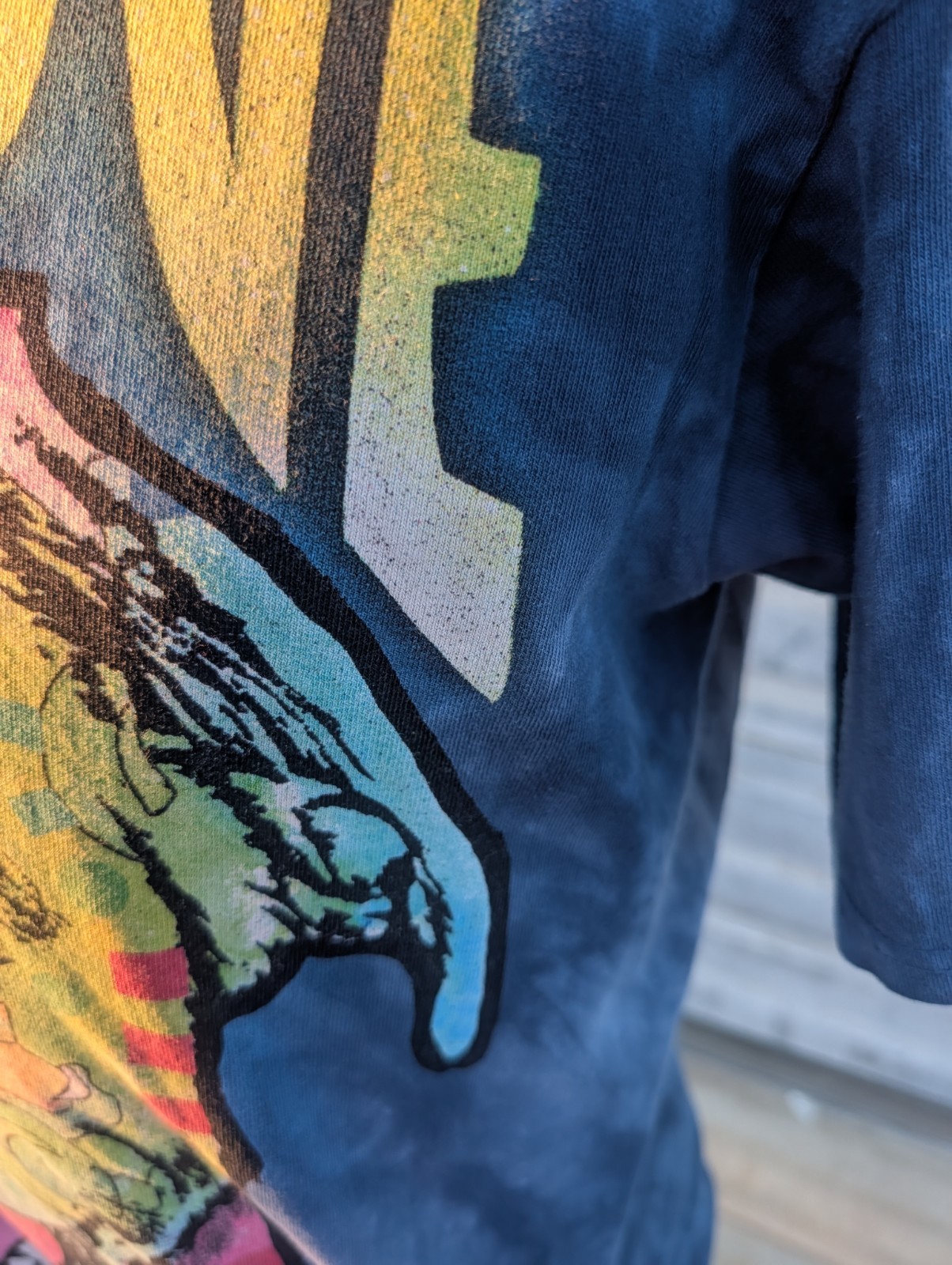 Lab Love The Mountain 2015 T-Shirt Mens L Blue Tie Dye Dog Vintage Y2K Tee gallery