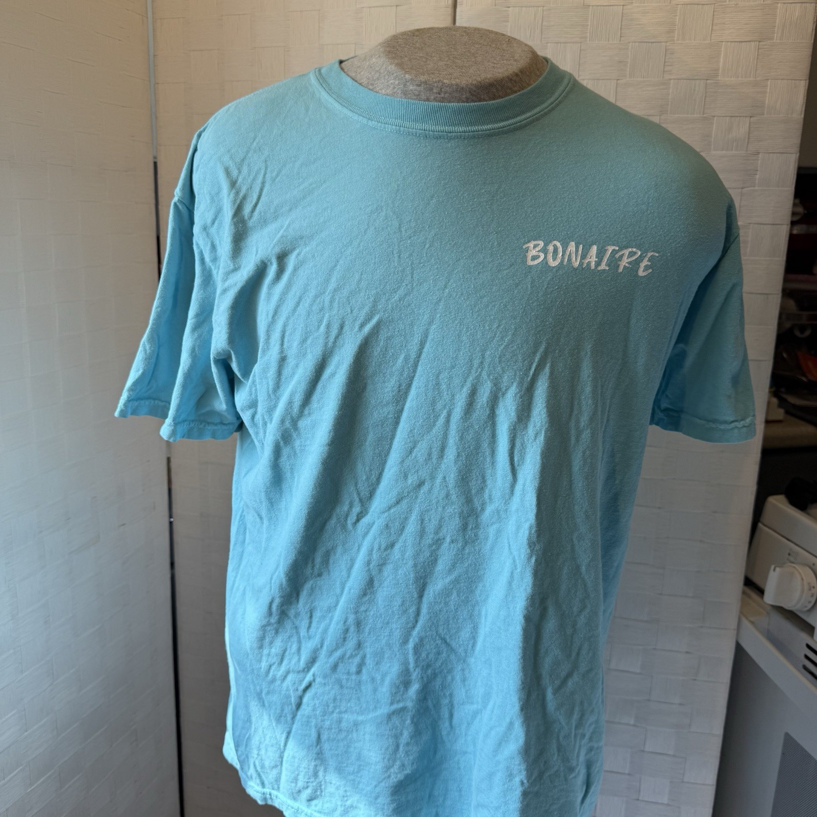 Comfort Colors Men's L Blue Short Sleeve Sea Turtle Sea Life Graphic T-Shirt gallery