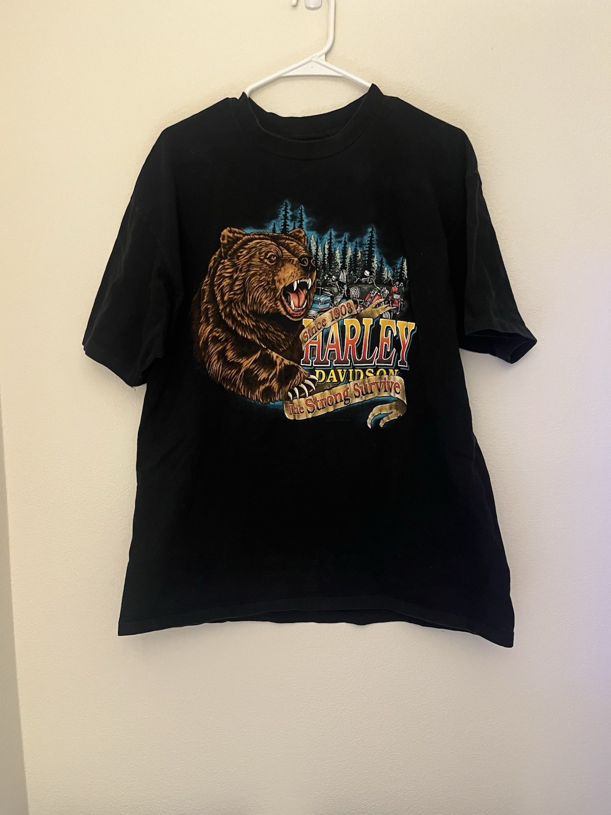 Vintage 1998 Harley Davidson Florida The Strong Survive Bear Biker T Shirt L/XL gallery