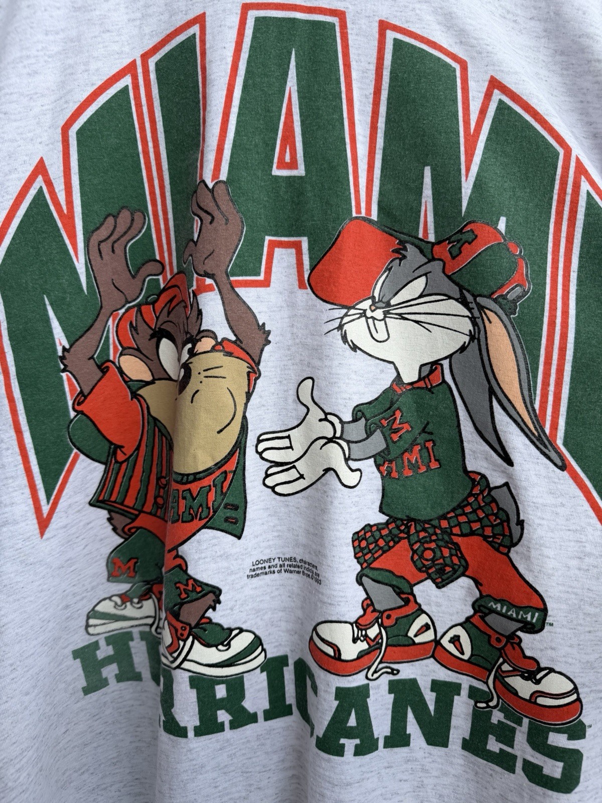 Vintage 1993 Taz Tasmanian Devil Hooded T-Shirt XL Looney Tunes Single Stitch US gallery