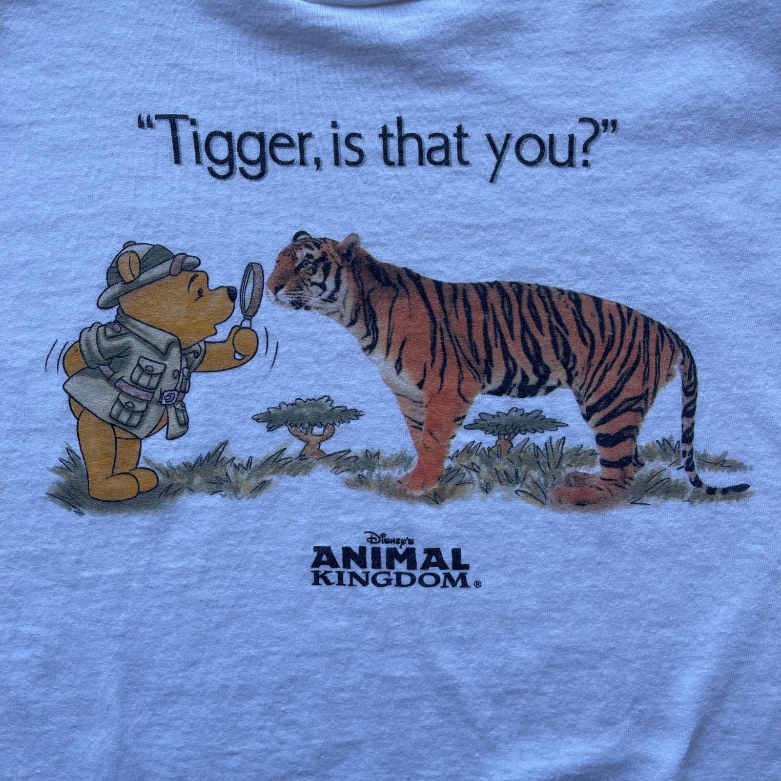 Retro 90s WINNIE THE P00H ''Tigger Is That You?" Promo Unisex Tee S-5XL gallery