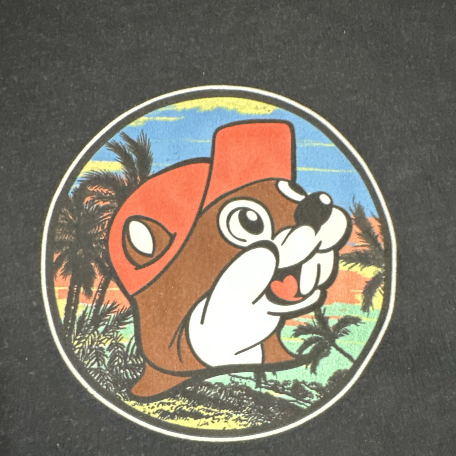 Buc-ee's Men's Black Graphic Print T-Shirt Crew Neck Short Sleeve XL gallery