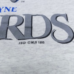 1993 Fort Wayne Wizards Single Stitch Large Gray Baseball Shirt MiLB MLB
