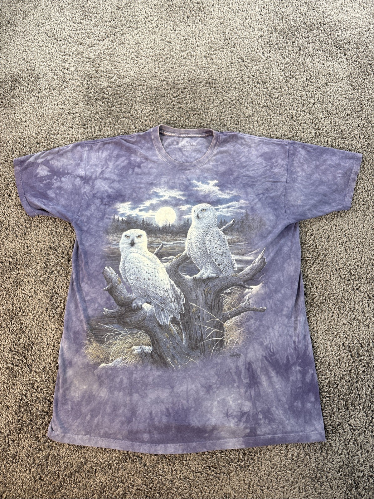 Vtg The Mountain T Shirt Mens 2XL Blue Nature Owl Woods Hunting Blue 1999