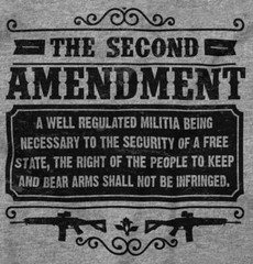 The Second Amendment Constitutional Right Womens or Mens Crewneck T Shirt Tee