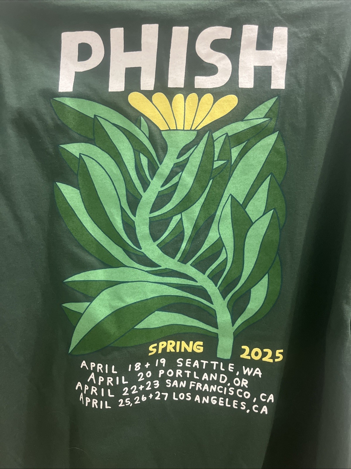 American Apparel 1301 Spring 2025 Phish T Shirt New Size XL gallery