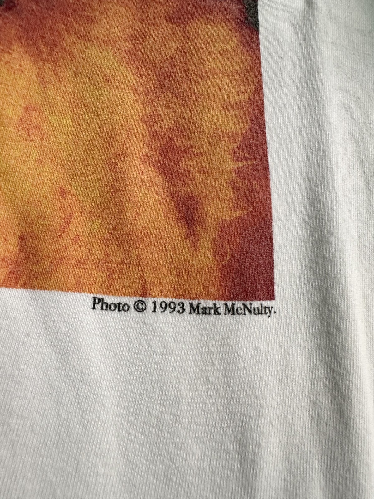 Rare Mark McNulty × Journal Standard Björk Photo Size L Tee gallery