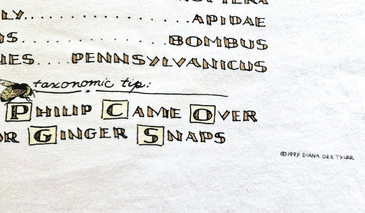 Vintage 90s Bumble Bee Insect Anatomy Art Novelty T Shirt Size XL gallery