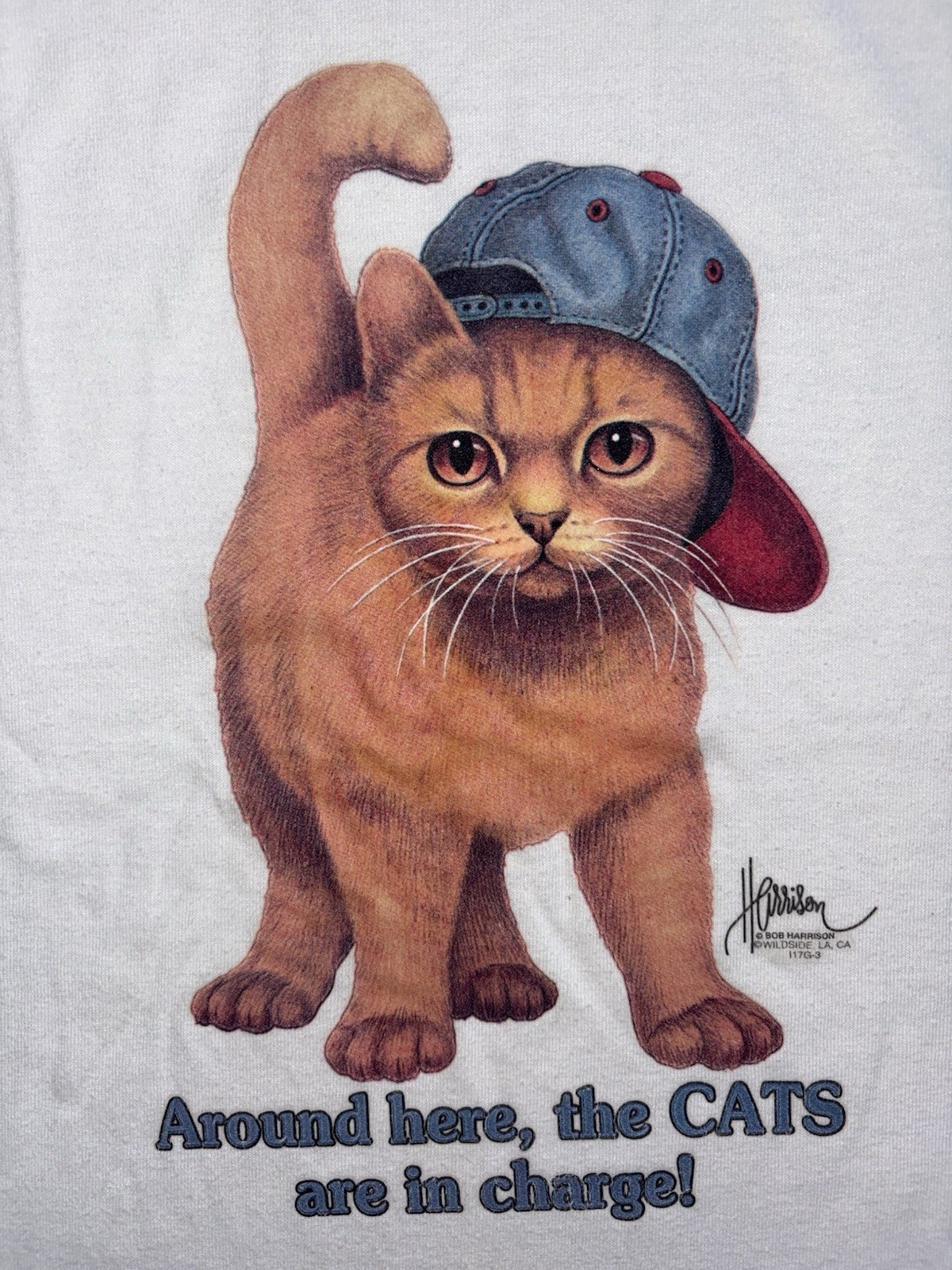 Vintage 90s Bob Harrison “Around Here The Cats Are In Charge” T-Shirt Mens (XL) gallery
