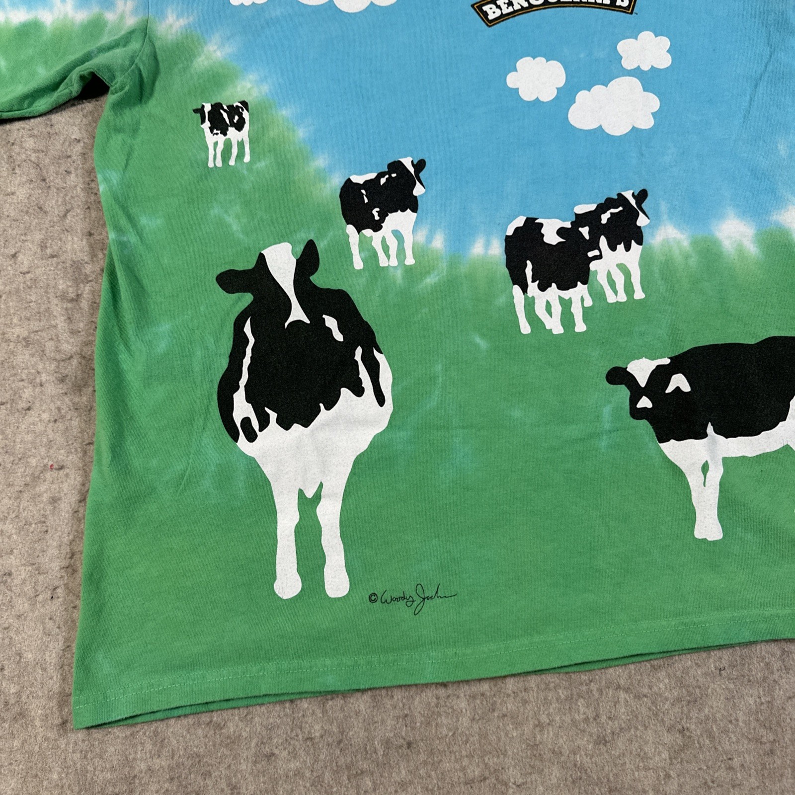 BEN & JERRY'S Shirt Large? EUPHORIA Y2K Ice Cream Yogurt Woody Jackson Blue gallery