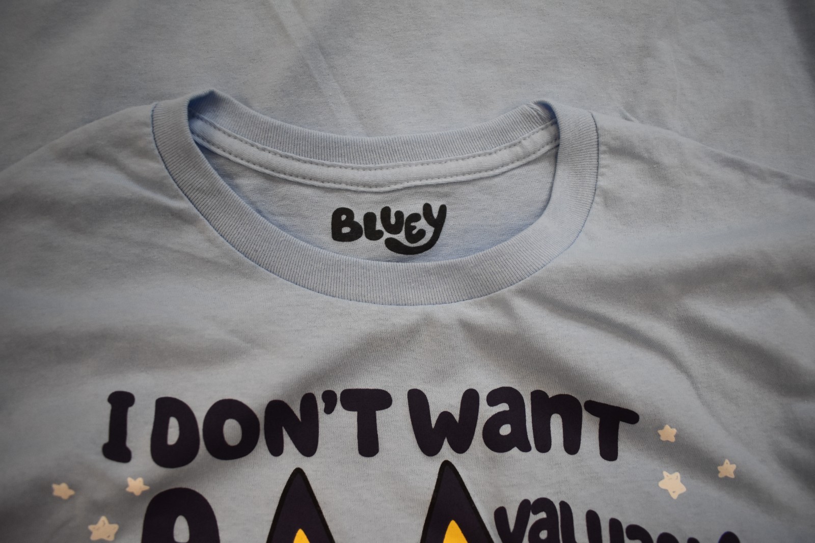 Bluey Mens I Don't Want A Life Lesson, I Just Want Ice Cream Shirt New S-3XL gallery