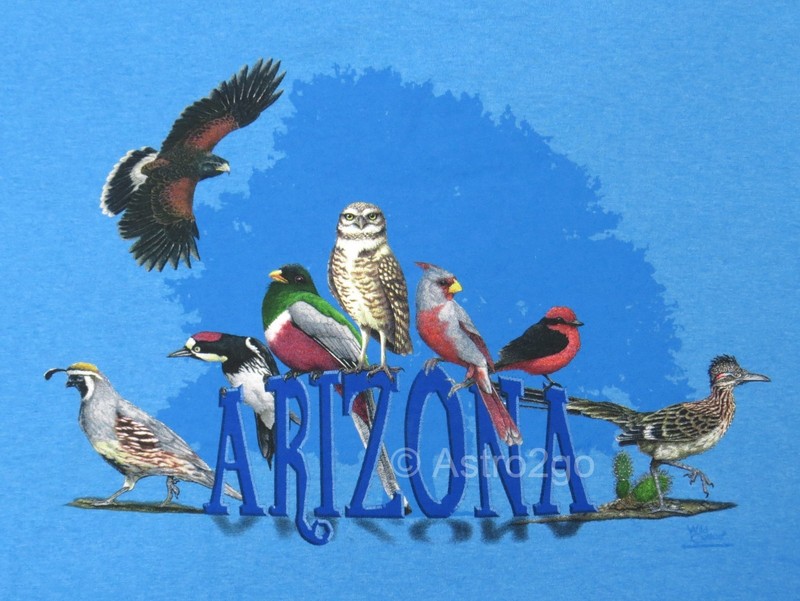 ARIZONA BIRDS-Hawk Quail Owl Trogon Roadrunner Woodpecker Nature T shirt S,L,2XL