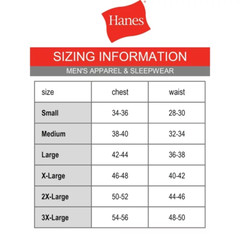 Hanes Big Men’s Authentic Short Sleeve Tee, Deep Forest, 3XL