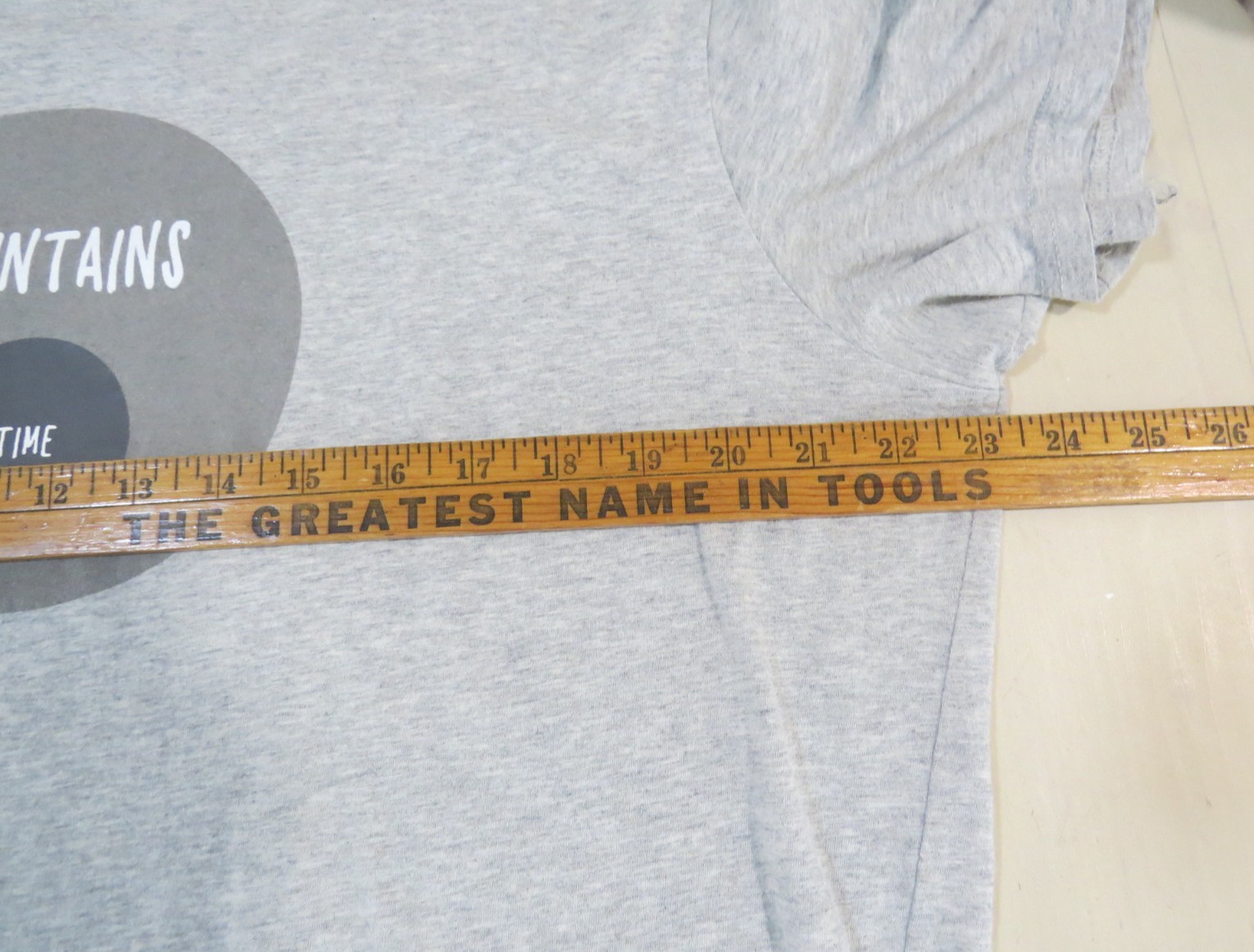 Arcteryx Cotton T-shirt 'Mountains Time' SIZE XL Heathered Gray 100% Cotton gallery