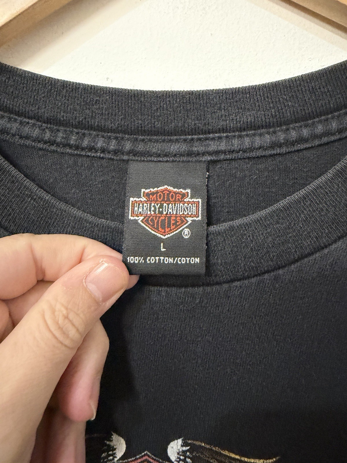 Vintage Sturgis Black Hills Rally 2000 Shirt L South Dakota Harley Davidson USA gallery