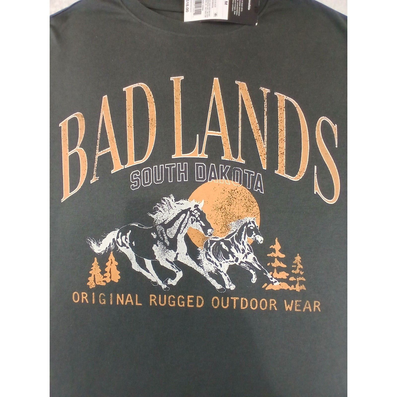 Original Use Mens Bad Lands South Dakota Graphic Long Sleeve T-Shirt Gray Size M gallery