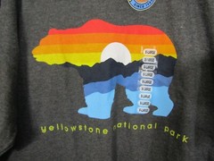 NWT The Duck Co Yellowstone Mt. Bear Logo Charcoal Cotton Short Sleeve Men’s M