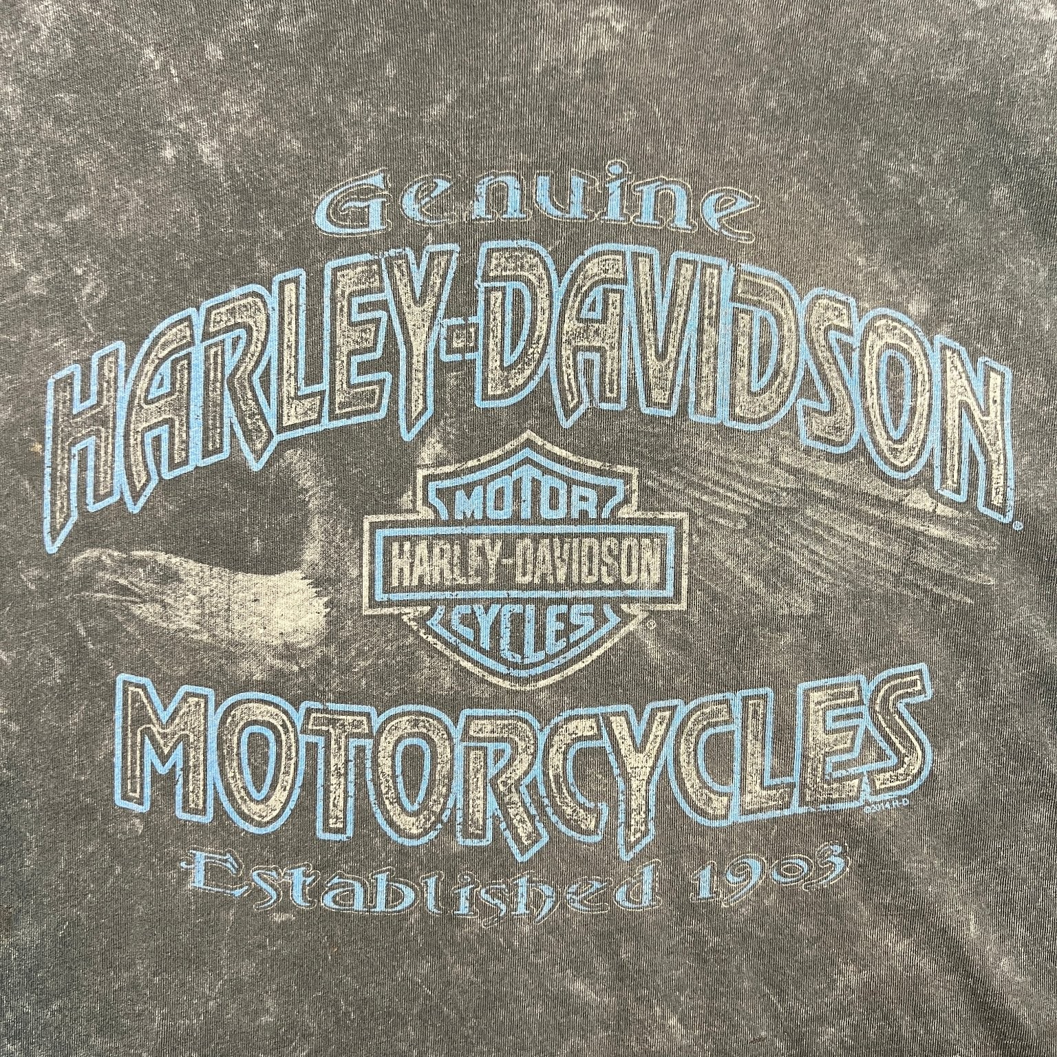 VTG Harley-Davidson T-Shirt Mens XL Fade Gray Scottsdale Snake Skull Arizona Y2K gallery