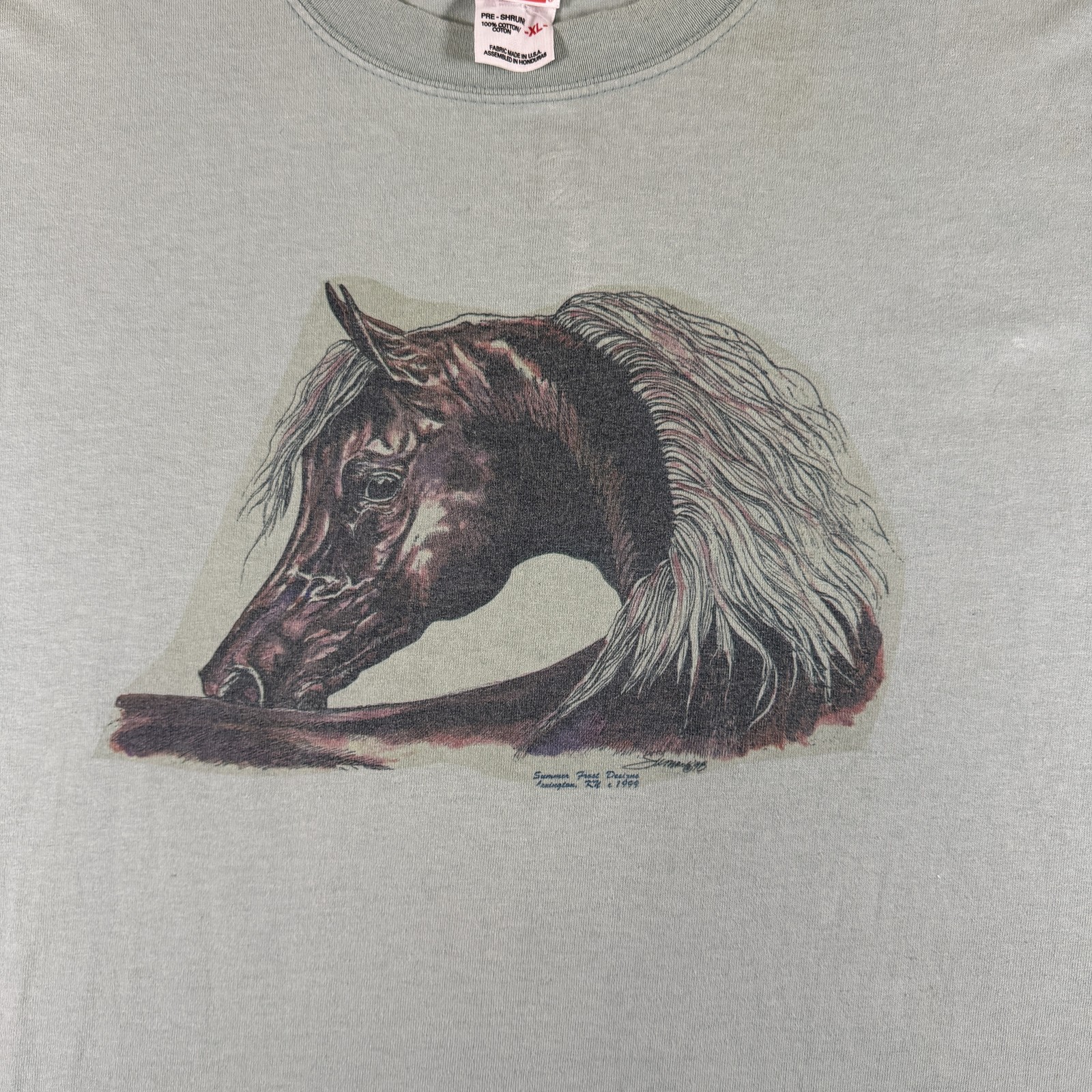 Anvil T-Shirt Men's XL Mint Green Arabians Horse Nature Animal 100% Cotton gallery