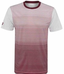 Wilson Men’s stripped T-Shirts,Performance Tee, Team Crew Neck, 6 Colors, Active