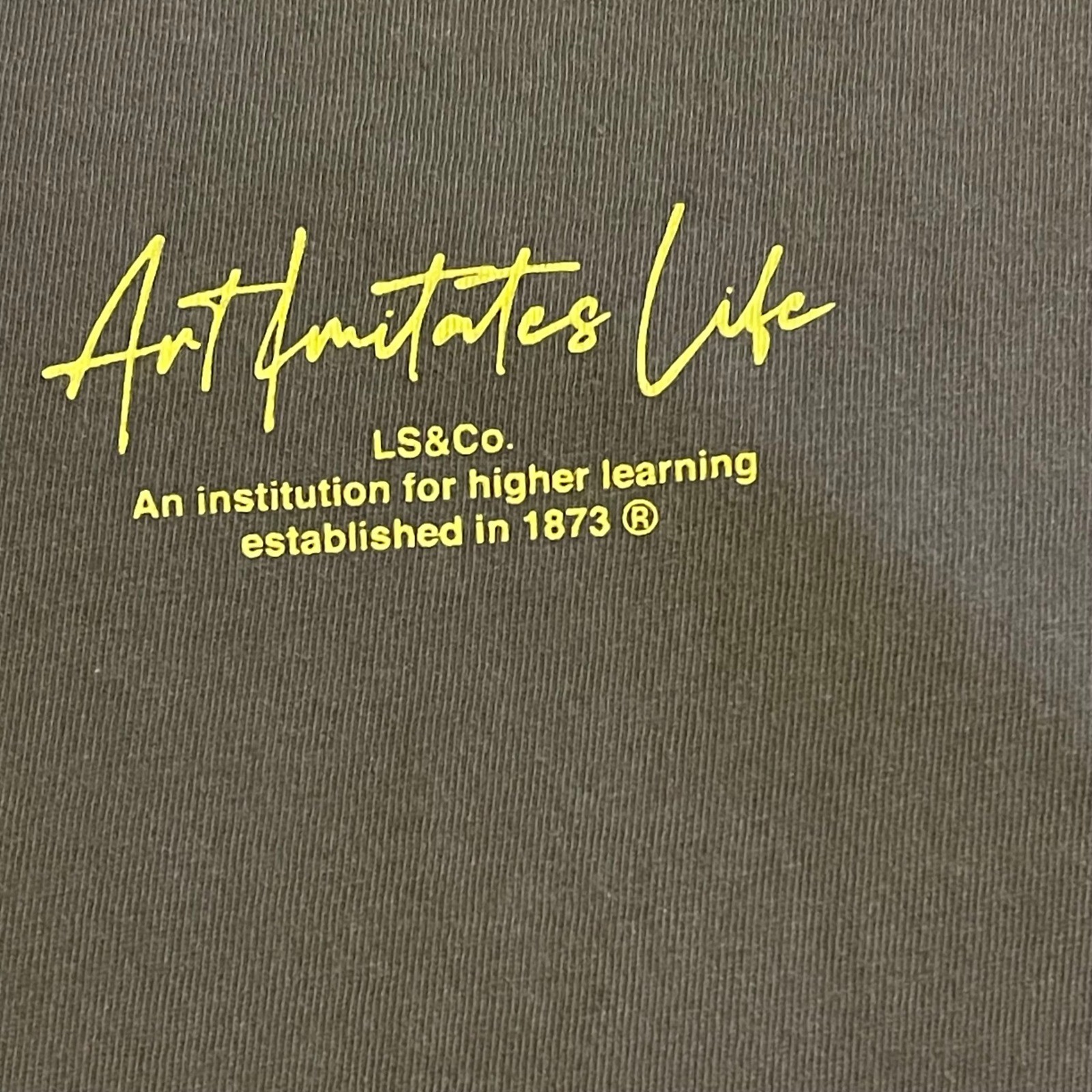 LEVIS Mens Graphic T Shirt XXL Art Imitates Life Roses Cotton Streetwear Tee gallery