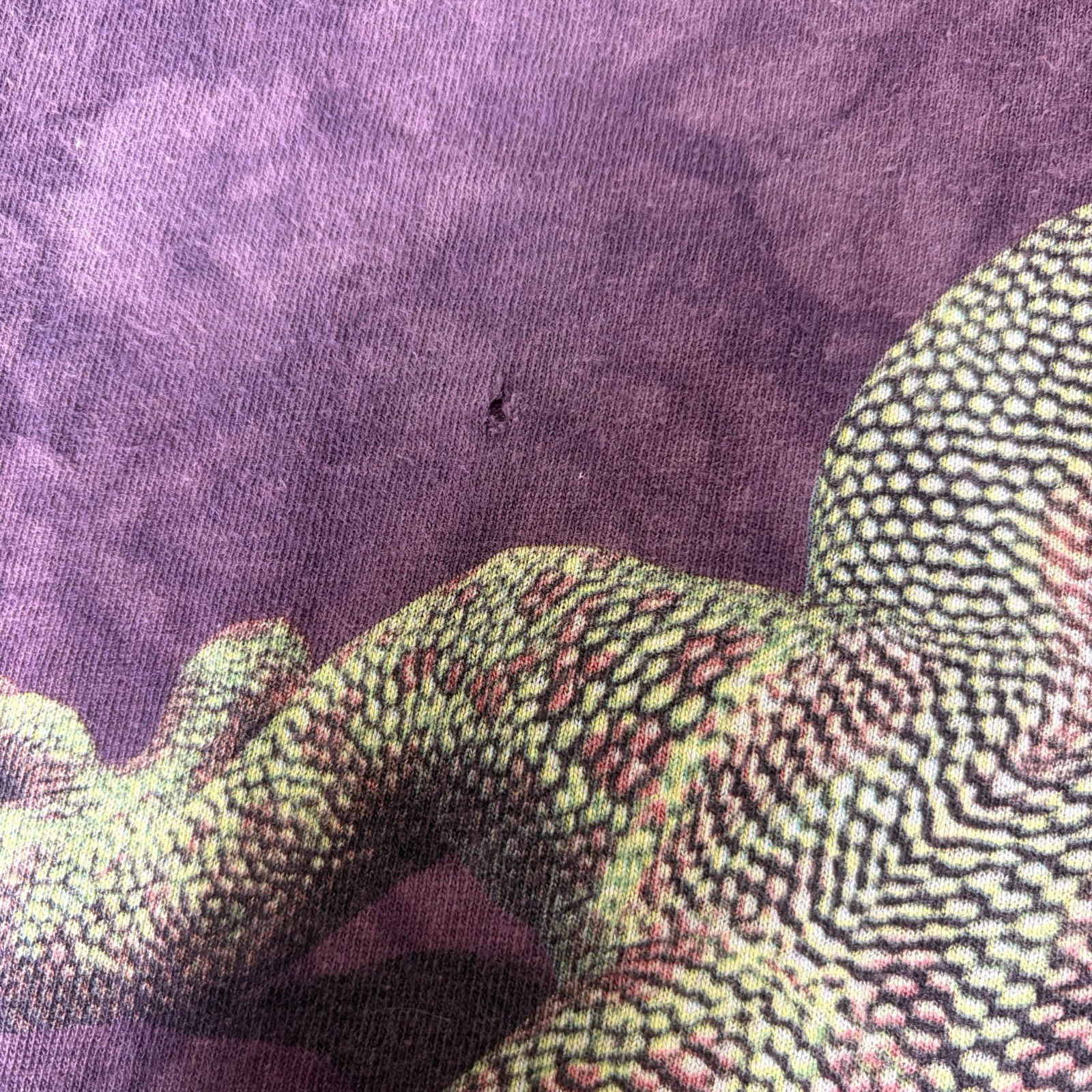 The Mountain Gecko Lizard Graphic Tie Dye T-Shirt Men’s 2XL Purple USA gallery