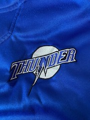 Rawlings Thunder Mens Size XL Baseball Warmup Shirt Thick Blue Long Sleeve