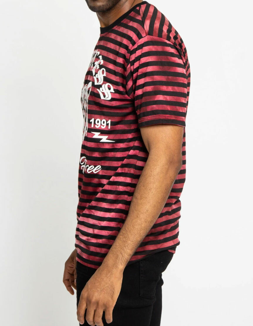 VICTORIOUS BRAND STRIPED T-SHIRT FEARLESS TIGER BURGUNDY/BLACK SIZES MED TO 2XL gallery