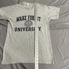 Vintage 90s Wake Forest University Gray T Shirt Size Small Made In USA College