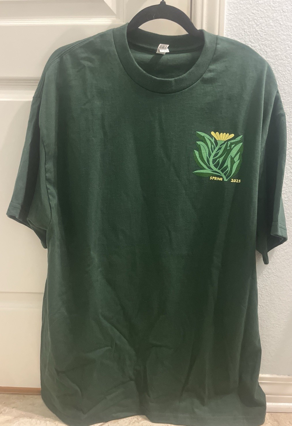 American Apparel 1301 Spring 2025 Phish T Shirt New Size XL gallery