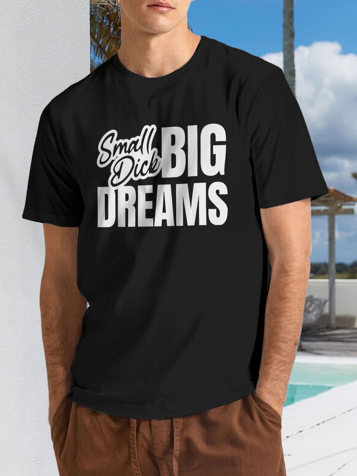 Men's Funny Small Dick Big Dreams Sarcasm T-Shirt - Vintage Loose Fit Humor Te gallery