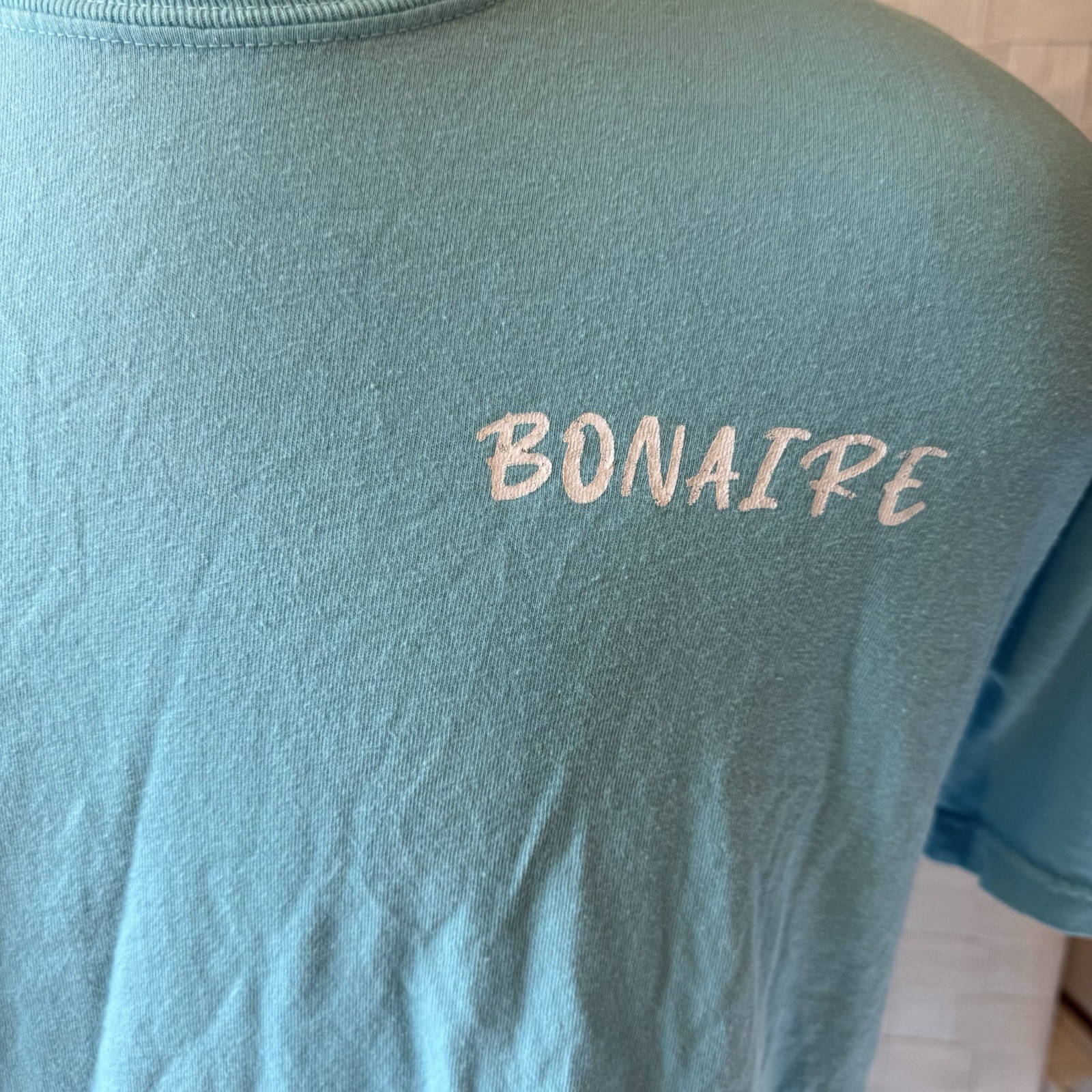 Comfort Colors Men's L Blue Short Sleeve Sea Turtle Sea Life Graphic T-Shirt gallery