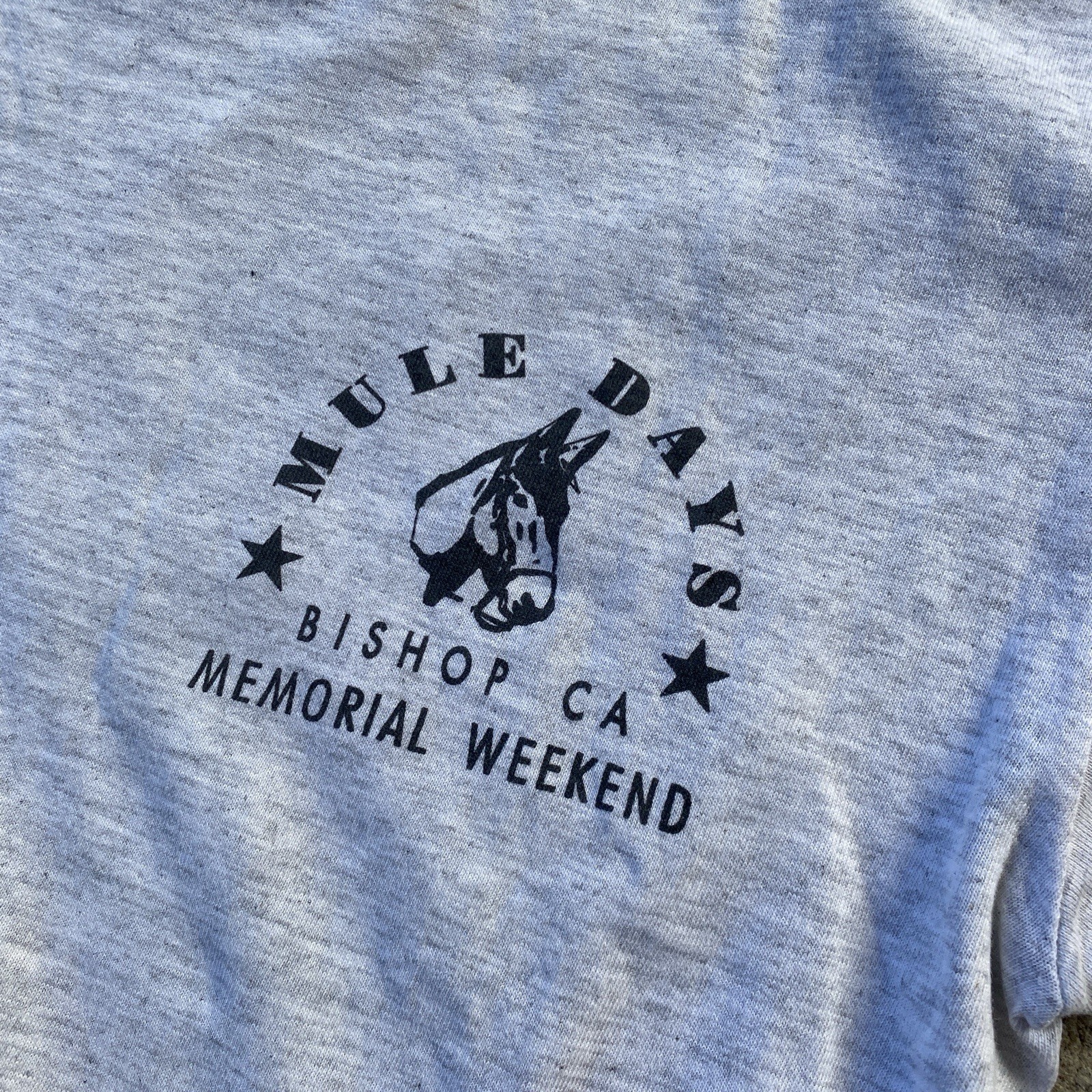 Vintage 90s MULE DAYS Tee Shirt Bishop Lone Pine Mt. Whitney Grey Medium gallery