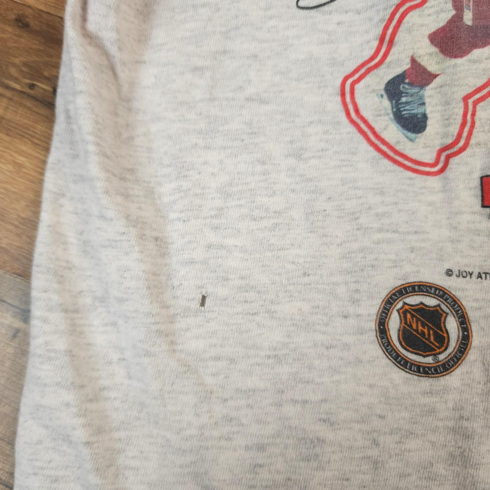 Vintage 90s Detroit Red Wings T-Shirt Youth Large NHL Yzerman Fedorov USA gallery