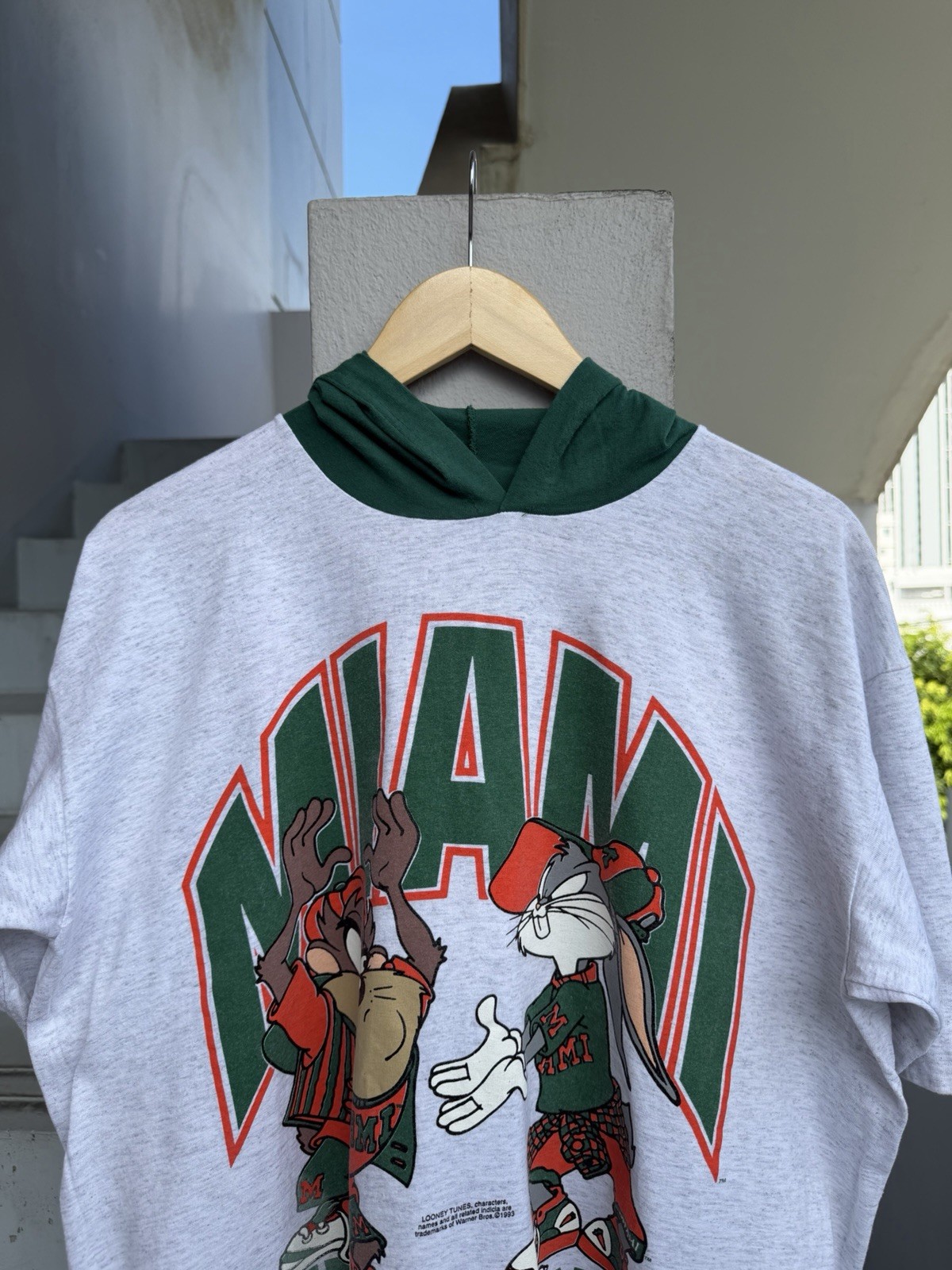 Vintage 1993 Taz Tasmanian Devil Hooded T-Shirt XL Looney Tunes Single Stitch US gallery