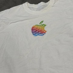 Apple The Grove Tee White Rainbow Wave Logo L Long Length Soft USA Made