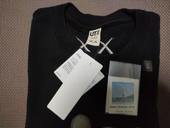 KAWS x UNIQLO sweatshirt NEW
