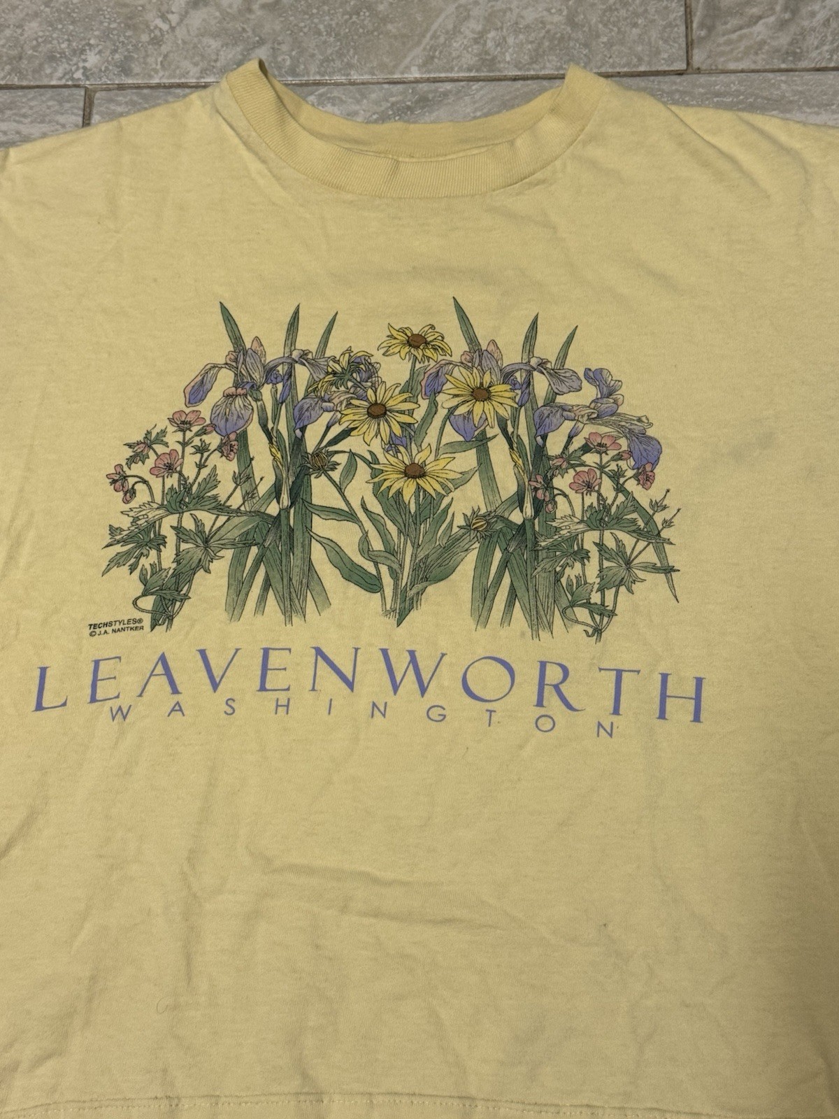 Vintage Y2K Leavenworth, WA Flowers Yellow Tshirt Sz Adult Large Anvil Red Boxy gallery