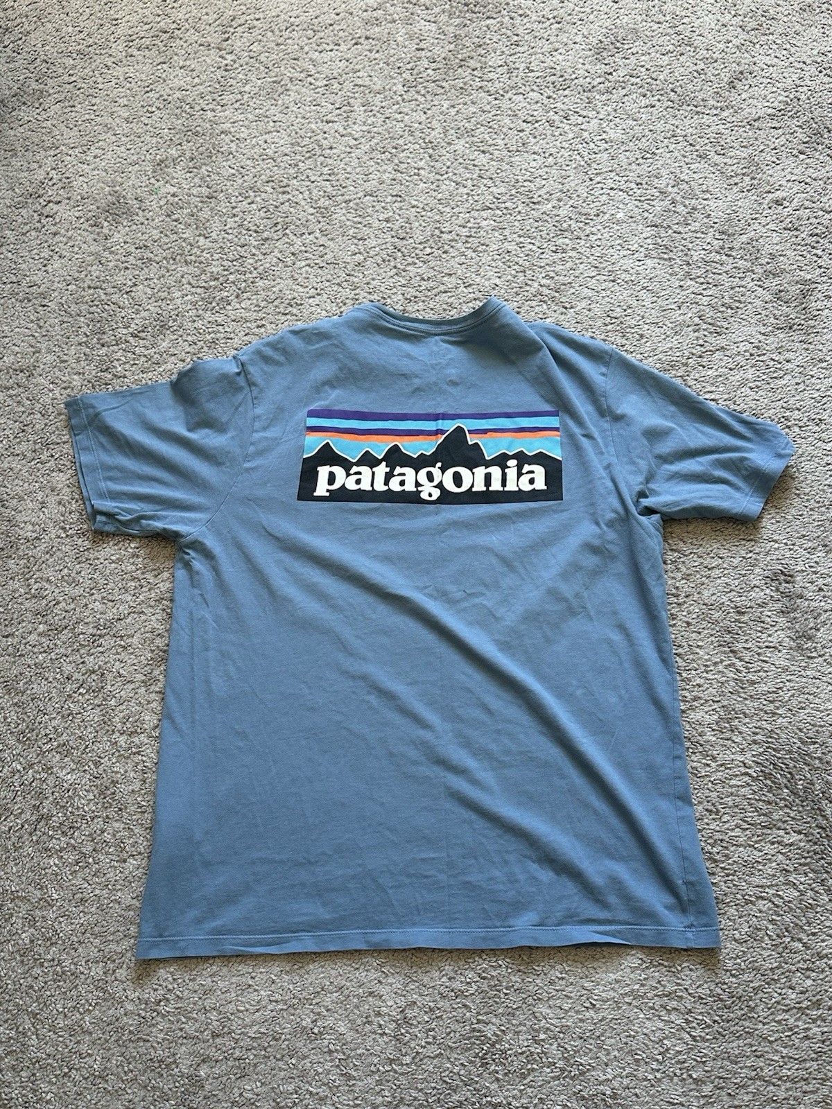 Patagonia Mens Blue Cotton Jersey Double-Sided Graphic Logo Tee Crew Neck M gallery