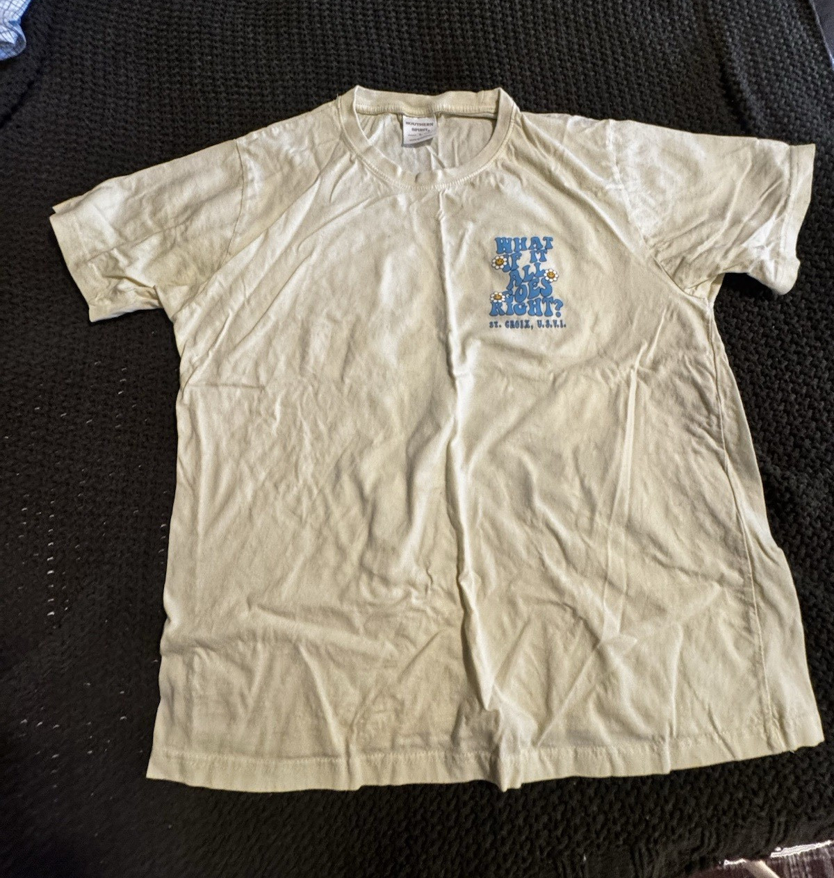 Southern Spirit Men’s L Beige St. Croix USVI Graphic Tee Cotton Knit Crew Neck gallery