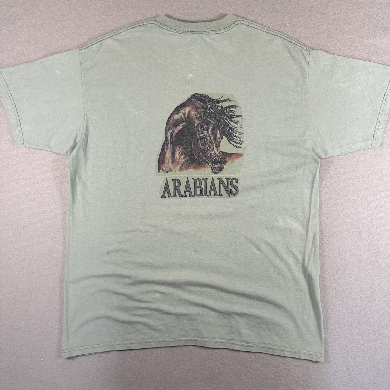Anvil T-Shirt Men's XL Mint Green Arabians Horse Nature Animal 100% Cotton gallery