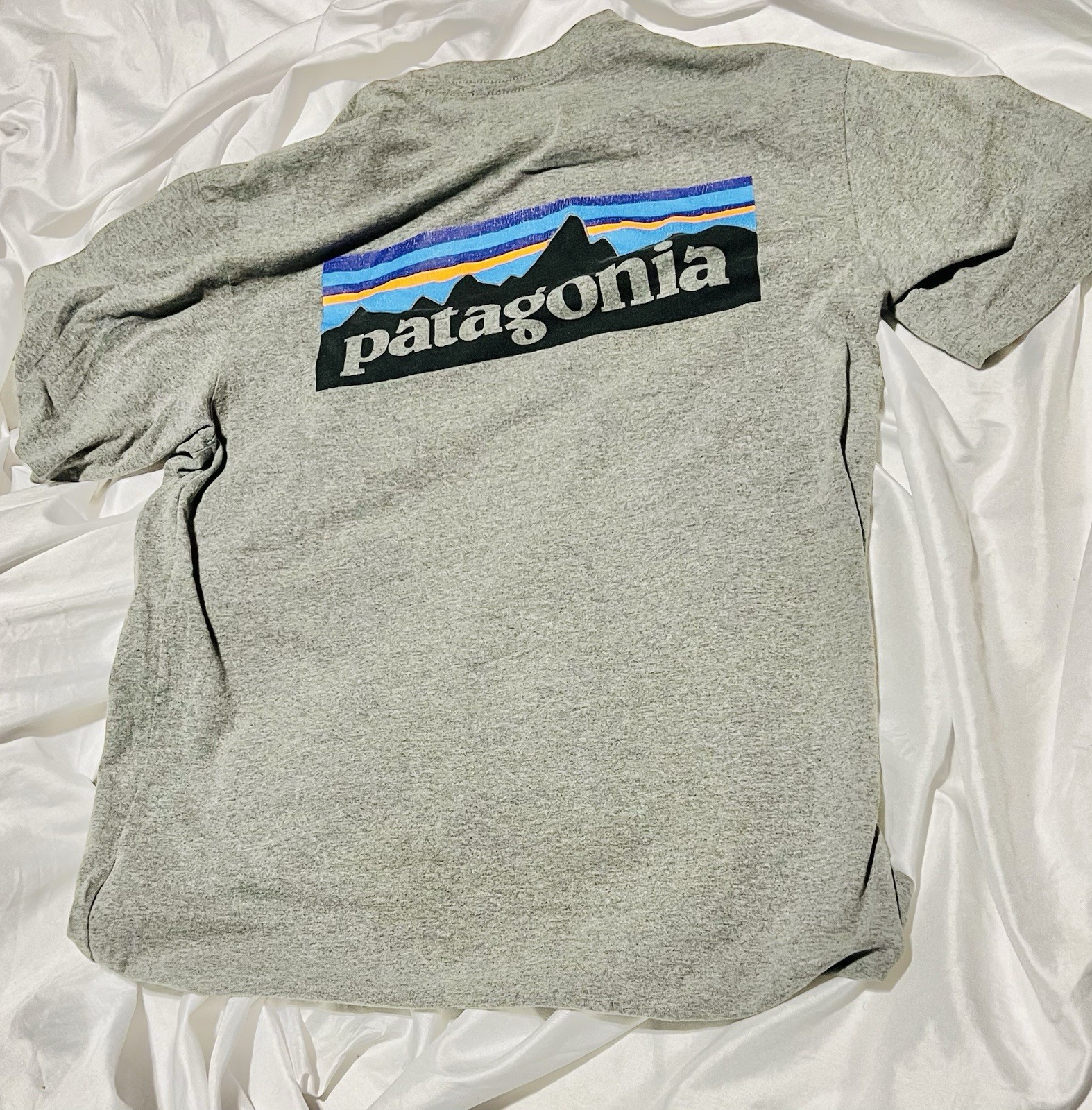 Patagonia Cotton Logo T-Shirt Gray ( Small gallery
