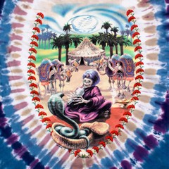 GRATEFUL DEAD-CARPET RIDE-Skeleton TIE DYE T-SHIRT S-M-L-XL-XXL, 6X Garcia,Lesh