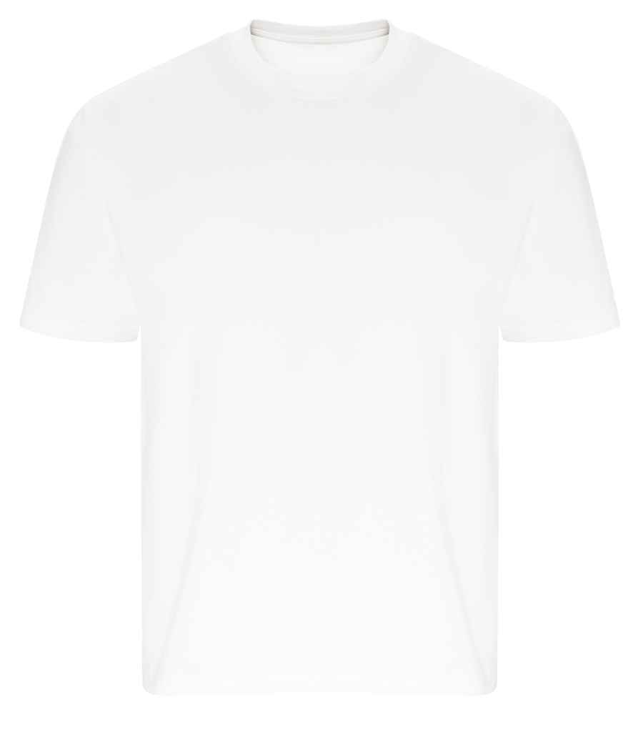Ecologie by AWDis Arrow Recycled Heavy Oversize T-Shirt 3 Colours gallery