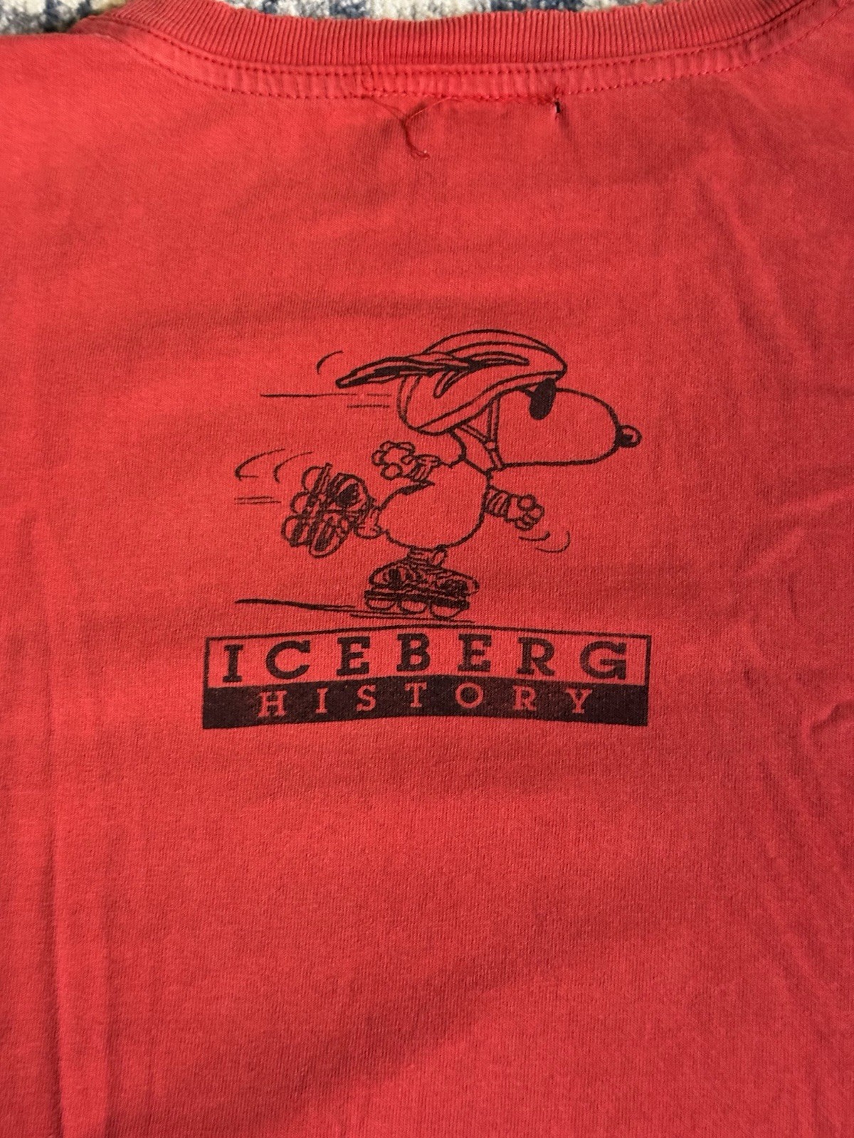 Vintage 90s Iceberg History Snoopy Skate T Shirt Size 2XL Cartoon Sports Hip Hop gallery