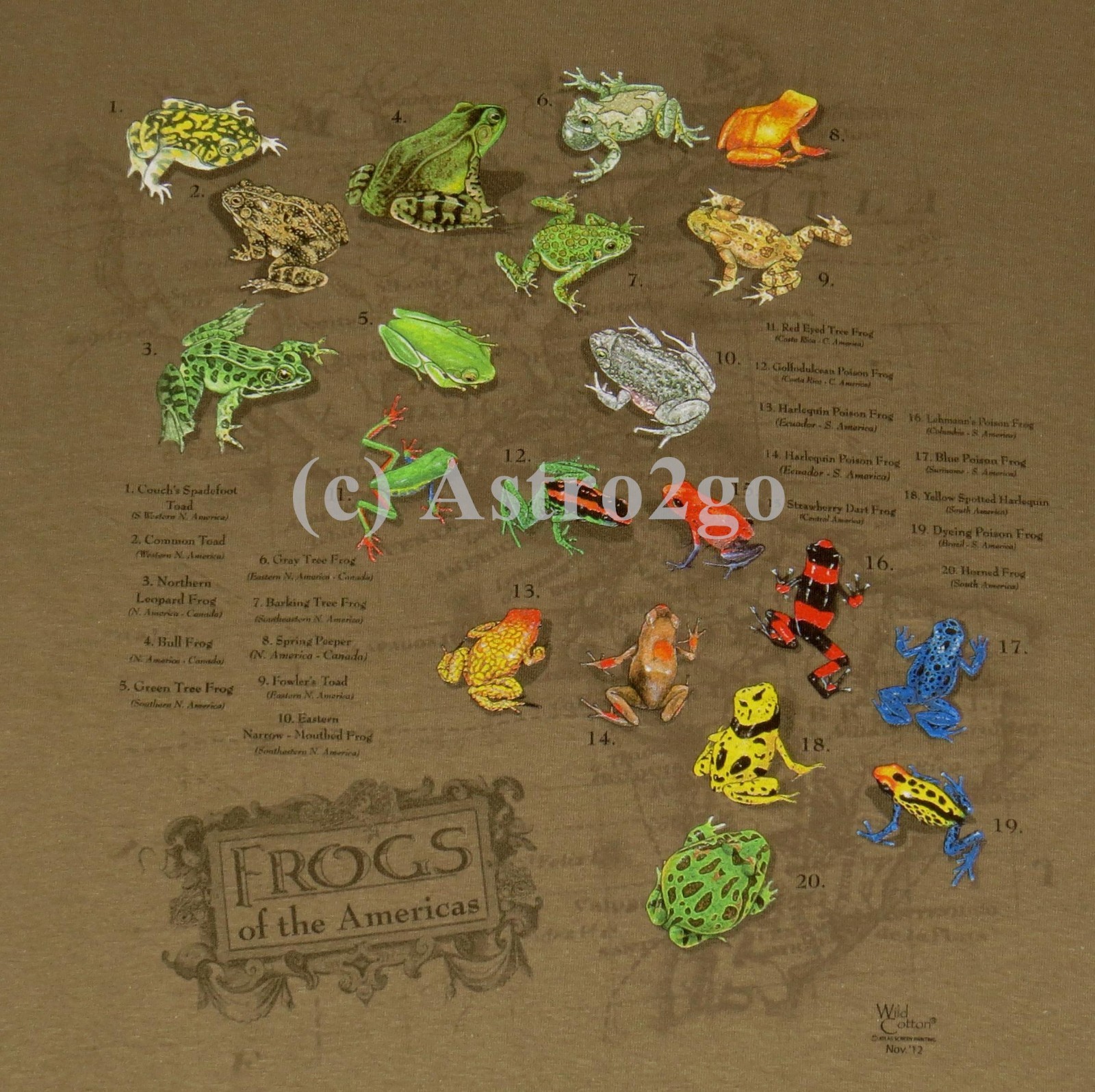 FROGS OF THE AMERICAS--Toads Amphibians Bull Leopard Tree Poison Dart T shirt gallery