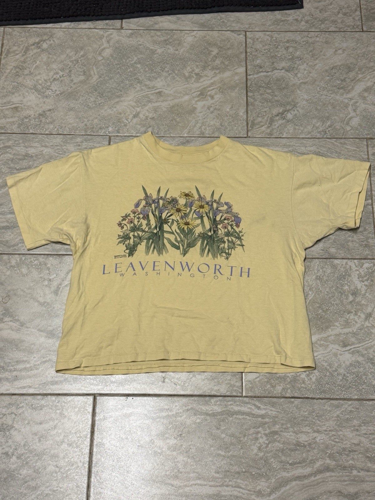 Vintage Y2K Leavenworth, WA Flowers Yellow Tshirt Sz Adult Large Anvil Red Boxy gallery